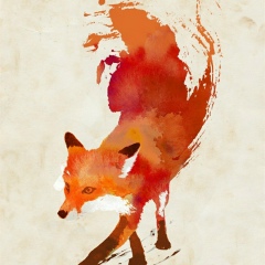 Антон Кириков, 24.02.1981, Санкт-Петербург