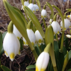 Ирина Ульянова, 30.05, Санкт-Петербург