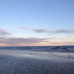 Диана Тарнавская