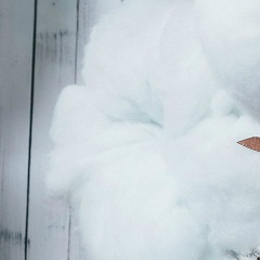 Тоня Ілінюк, 23.04