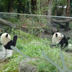 Александр Лисафин, 28.02, Обнинск