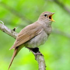 Юлия Михайловская, 08.08.1984