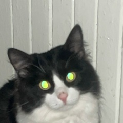 Ма П, 06.05, Москва