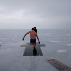 Вова Сова, 20.01, Покровское