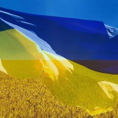 Інна Зінченко, Винница