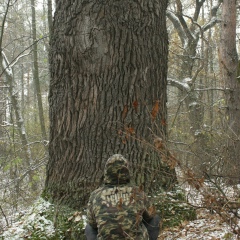 Андрей Головков, 12.06.1988, Киев