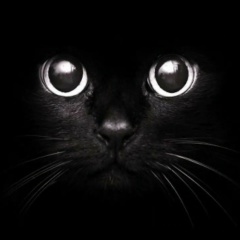 Валерия Маркина, 30.06, Казань