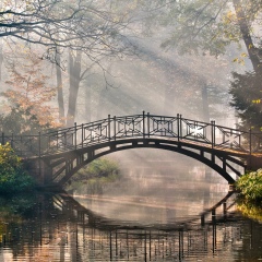 Александр Кирченков, 04.02, Санкт-Петербург