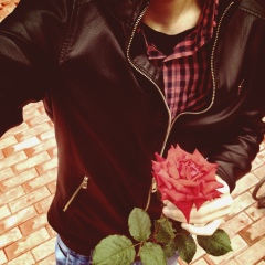 Хас Король, Санкт-Петербург