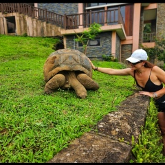 Tania Girleanu, Venezia