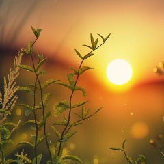 Милана Эржибова, 06.07