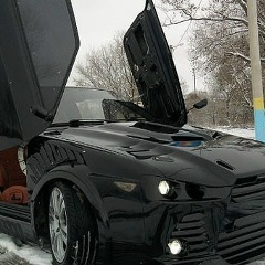 Владик Ярных, Шарлык