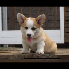 Эрик Картманов, 11.03, Panama City Beach