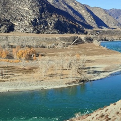 Артемий Магрицкий, 21.11, Волхов
