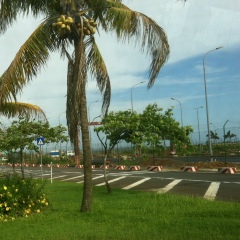 Максим Максимов, Владивосток