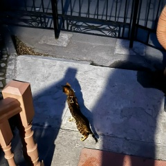 Саида Буракова, 28.06, Санкт-Петербург