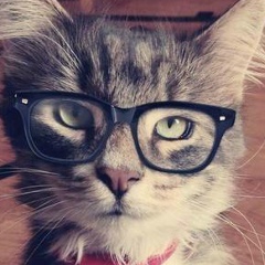 Дастан Царев, 04.07.2000, Berlin