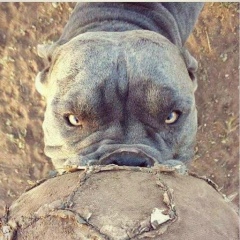 Шарип Карабалин, 17.06.1993