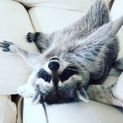 Вениамин Карлов, 05.07