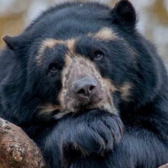 Артем Кузьмин, 16.05.2007, Санкт-Петербург