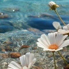 Анна Панкова, Москва