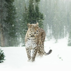 Peliculas-Vk Online, 23.01.1992, Barcelona