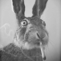 Илья Сорокин, 17.05, Shenzhen