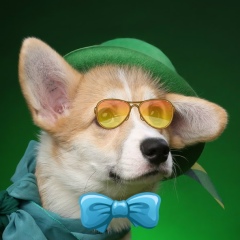 Михаил Петров, 04.10.2007, Санкт-Петербург