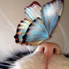 Мария Любимова, 21.03