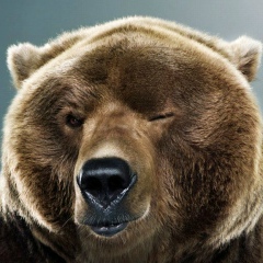 Леонтий Федорков, Днепр (Днепропетровск)