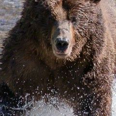 Леонид Плотников, 10.12.1975, Казань