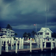 Дарья Литовченко, 19.11.1983, Санкт-Петербург