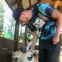 Николай Мейрович, Санкт-Петербург