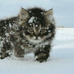 Руслан Хайдаров, 04.11.1985, Березовский