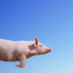 Андрей Телеграфъ, 18.12.1980, Leiria