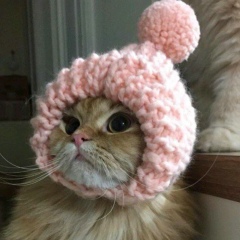 Ксюша Коваль