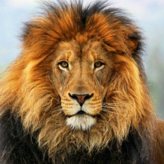 Леша Поликушин, 31.03.1986, Москва