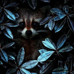 Анастасия Гаврилова, 31.12, Самара