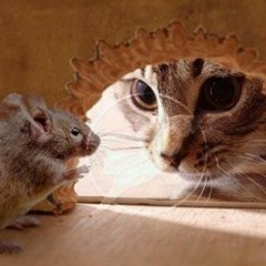 Анна Годзис, 14.12.1990, Киев