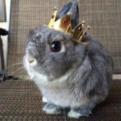 Земфира Валитова, 08.05.1994