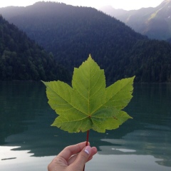 Lesya Spalesya, 16.01, Екатеринбург