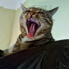 Лена Кукушкина, 22.06, Санкт-Петербург