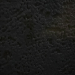 Руслан Бельский, 02.08, Воронеж