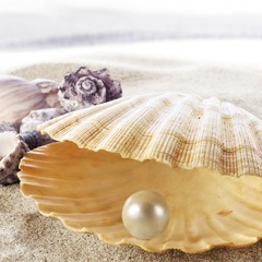 Маржан Хасенова, Жаркент