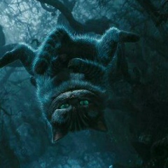 Евгений Перминов, 30.12.1986, Киев