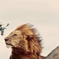 Алидин Дюйсенбиев