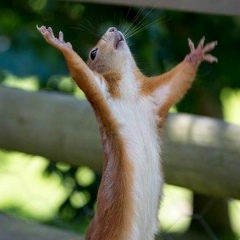 Анна Борисова, 18.05, Иркутск