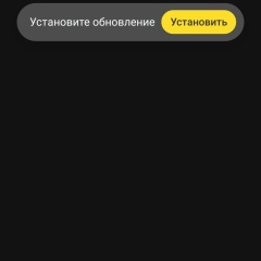 Александр Мирко, Омск