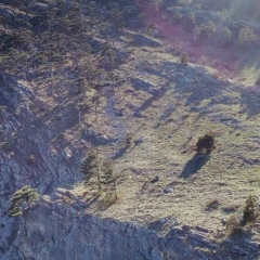 Вера Базанова, 29.12.1988, Санкт-Петербург