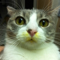 Виталий Князев, 01.10.1901, Panama